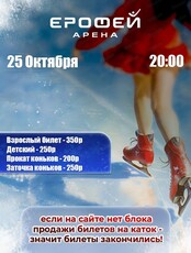 Катание на коньках в Арене "Ерофей"