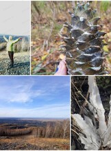 Поход на гору Спартак