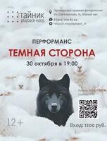 Плейбэк-театр «Тайник»: перформанс «Темная сторона»