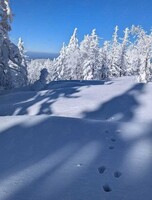 Тур «Снежная сказка»: восхождение на гору Изюбриная (1433,5м)