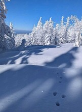 Тур «Снежная сказка»: восхождение на гору Изюбриная (1433,5м)