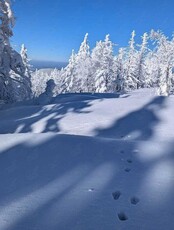 Тур «Снежная сказка»: восхождение на гору Изюбриная (1433,5м)