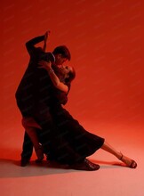 Аргентинское танго. Базовый курс