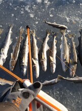 Зимняя подледная рыбалка