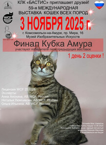 Международная выставка кошек от клуба любителей кошек "Бастис"