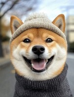 Экскурсия в питомник к собакам разных пород (для организованных и сборных групп)