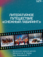 Литературное путешествие "Снежный лабиринт"