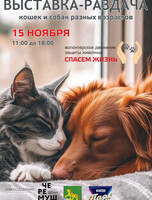 Благотворительная выставка-раздача кошек и собак