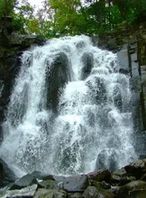 Тур «Водопады Шкотовского плато - Тигровый и Неожиданный»