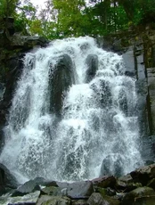 Тур «Водопады Шкотовского плато - Тигровый и Неожиданный»