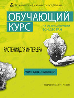 Специализированный образовательный курс «Растения для интерьера»