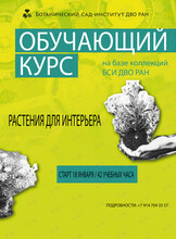 Специализированный образовательный курс «Растения для интерьера»