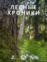 Выставка «Лесные хроники»