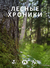 Выставка «Лесные хроники»