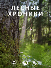Выставка «Лесные хроники»