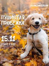 Бесплатная пробежка со своими питомцами