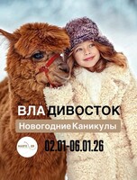 Новый год во Владивостоке "Зимние каникулы"