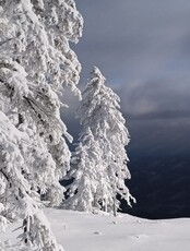 Восхождение на гору Пилахта