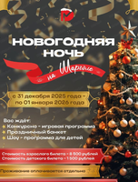 Новогодняя ночь на Шарголе