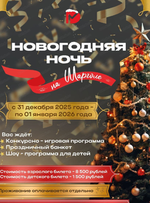 Новогодняя ночь на Шарголе