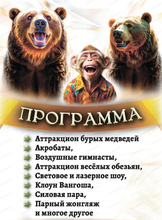 Цирк "Звездный"