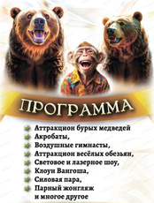 Цирк "Звездный"