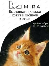 Выставка-продажа котят и щенков