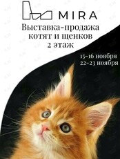 Выставка-продажа котят и щенков