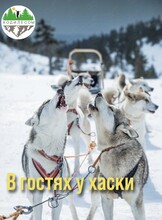 Тур «В гостях у хаски + Екатериновские пещеры»