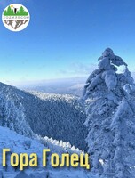 Тур «Гора Голец»
