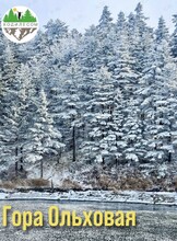 Тур «Гора Ольховая»
