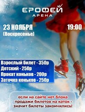 Катание на коньках в Арене "Ерофей"