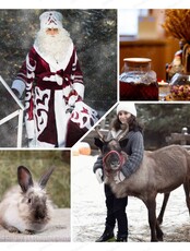 Новогодняя программа на ферме "В гости к пушистикам"