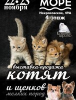 Выставка-продажа котят и щенков
