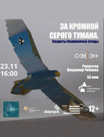 Кино в музее: "За кромкой серого тумана. Секреты белоплечей птицы"