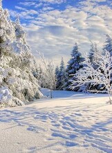 Бесплатный туристический сбор турклуба "Амурия"