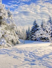 Бесплатный туристический сбор турклуба "Амурия"