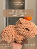 Мини-курс: вязание игрушки амигуруми