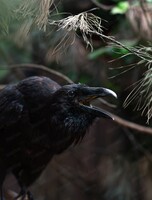 Обзорная экскурсия по "Лабиринтам Подземья"