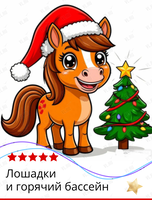 Тур «Лошадки и горячий бассейн»