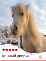 Тур «Конный дворик»