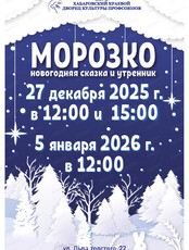 Новогоднее представление "Морозко"