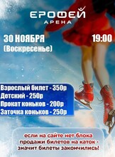 Катание на коньках в Арене "Ерофей"