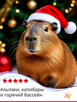 Тур «Альпаки, капибары и горячий бассейн»