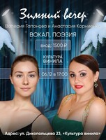 Зимний вечер