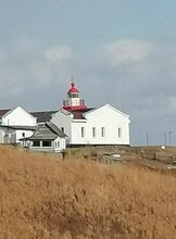 Экскурсия на полуостров Брюса и мыс Парящей черепахи
