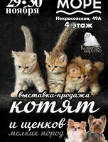 Выставка-продажа котят и щенков