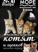Выставка-продажа котят и щенков