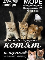 Выставка-продажа котят и щенков