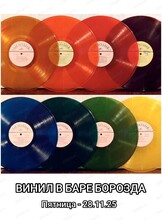 Винил в баре "Борозда"